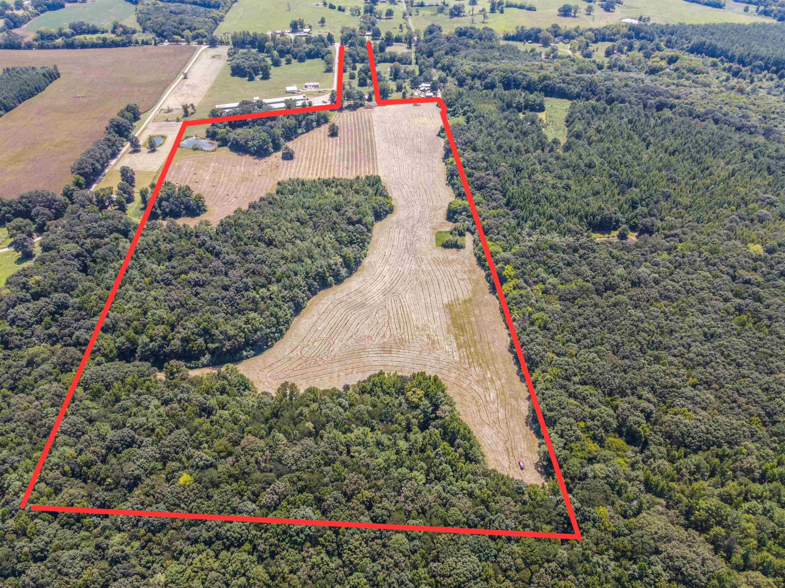 1701 Co Rd 168, Moulton, AL 35650 — photo 4