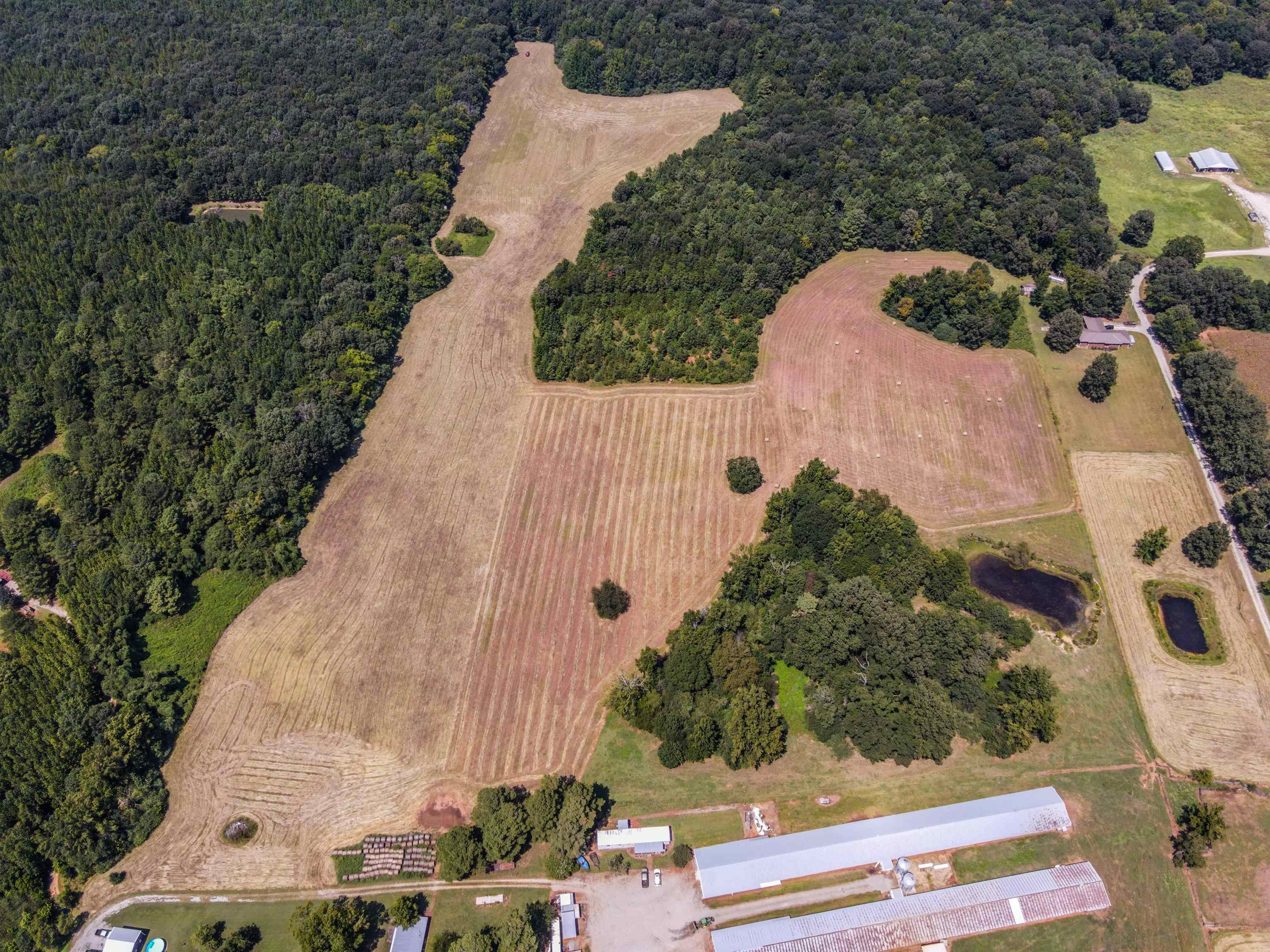 1701 Co Rd 168, Moulton, AL 35650 — photo 5