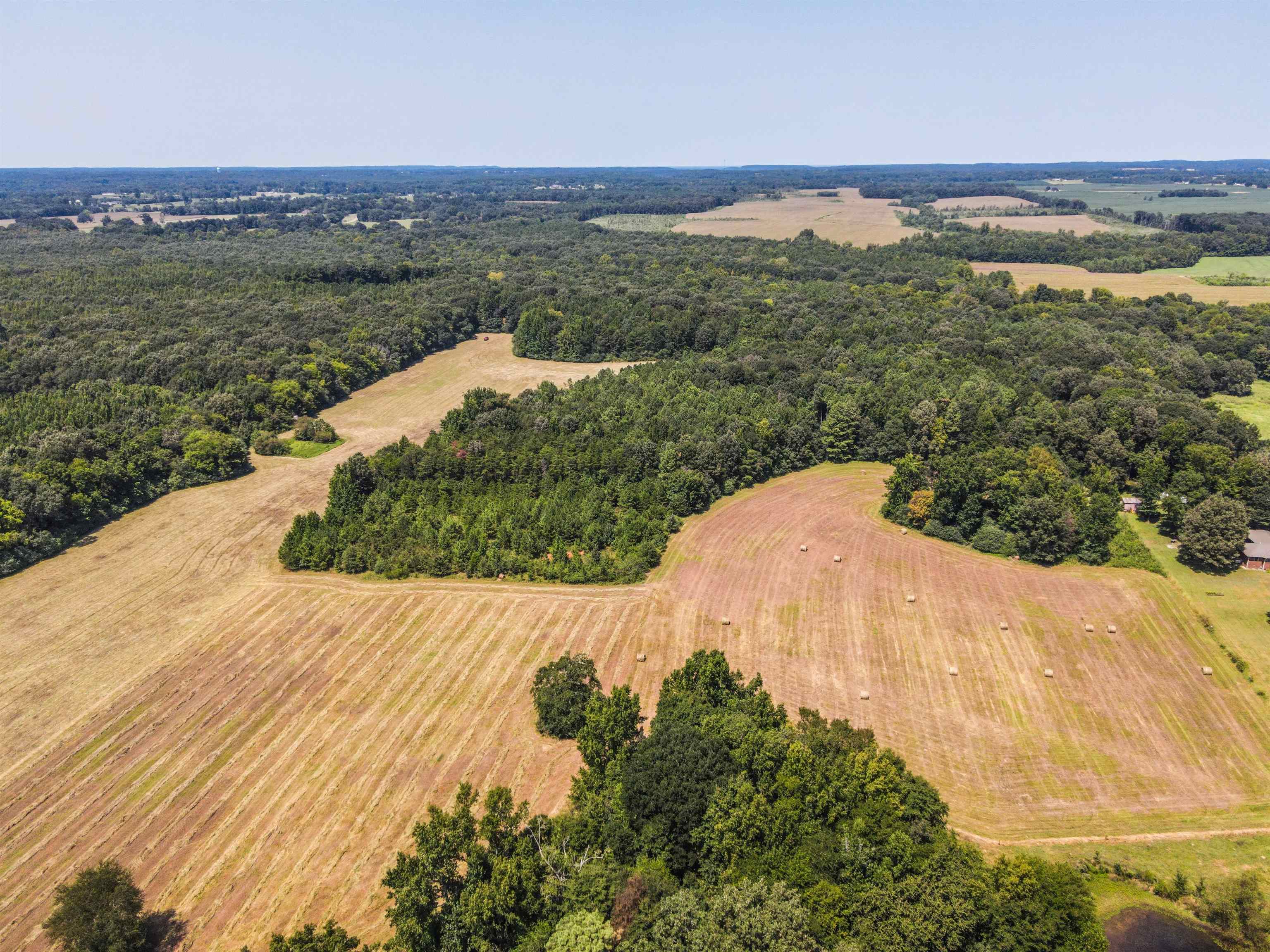 1701 Co Rd 168, Moulton, AL 35650 — photo 6