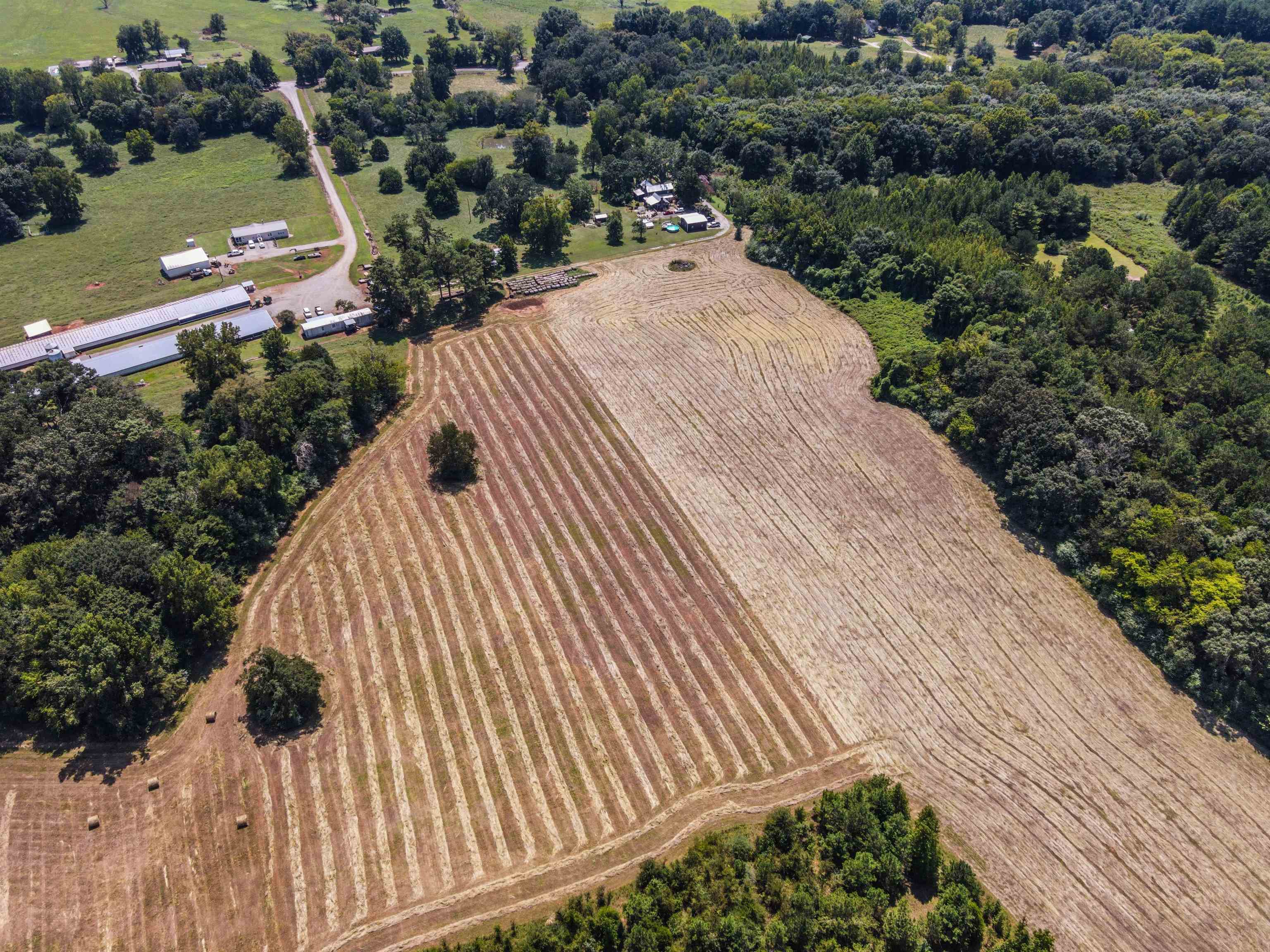 1701 Co Rd 168, Moulton, AL 35650 — photo 7