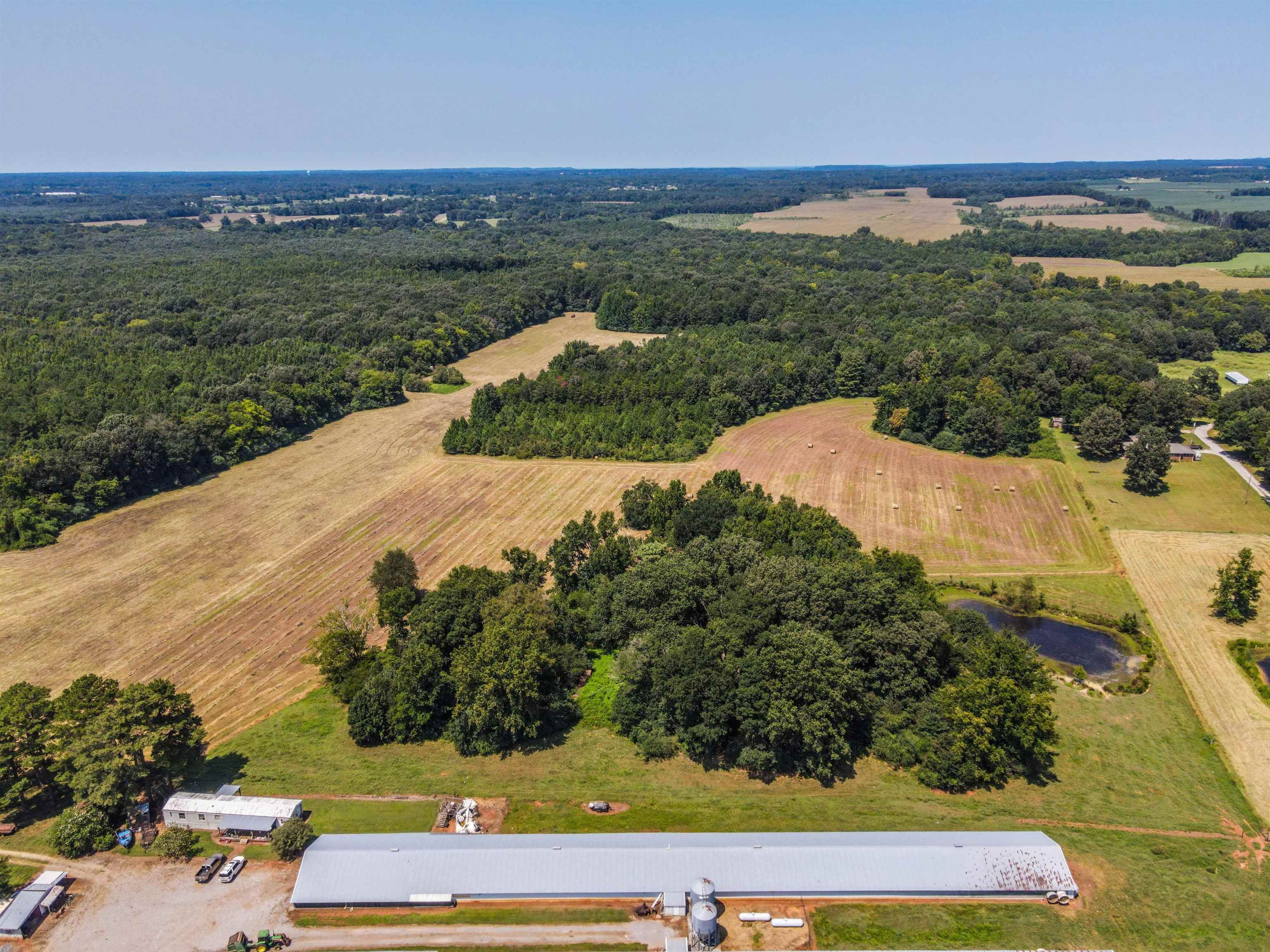 1701 Co Rd 168, Moulton, AL 35650 — photo 9