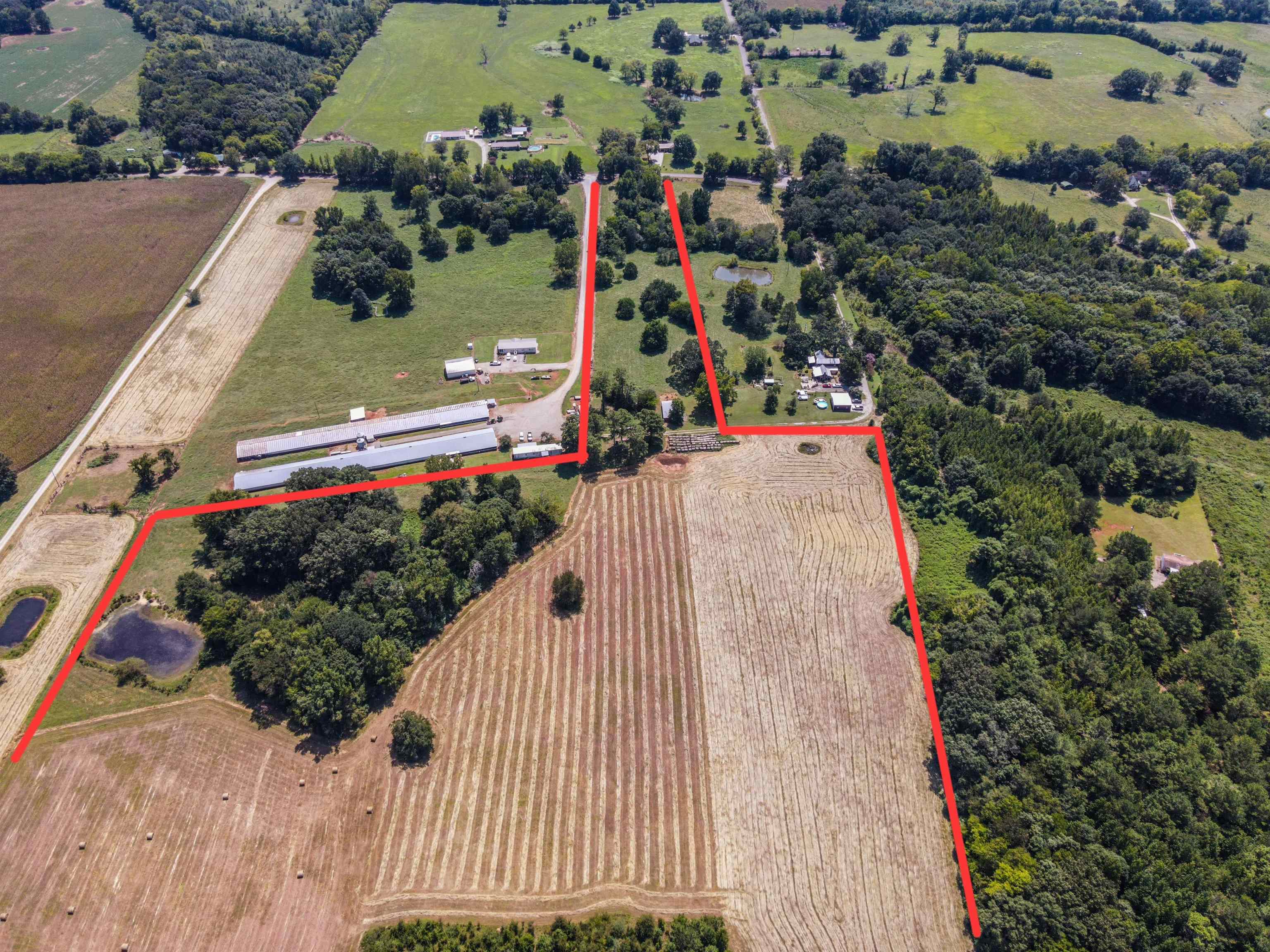 1701 Co Rd 168, Moulton, AL 35650 — photo 10