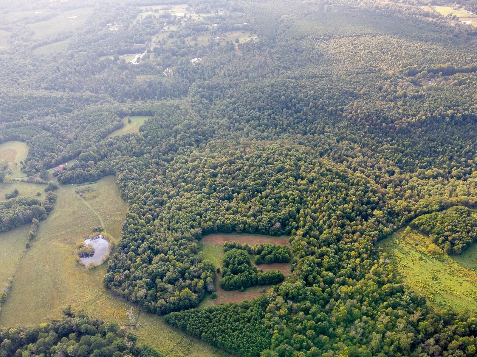 0 Underwood Mountain Rd, Tuscumbia, AL 35674 — photo 1