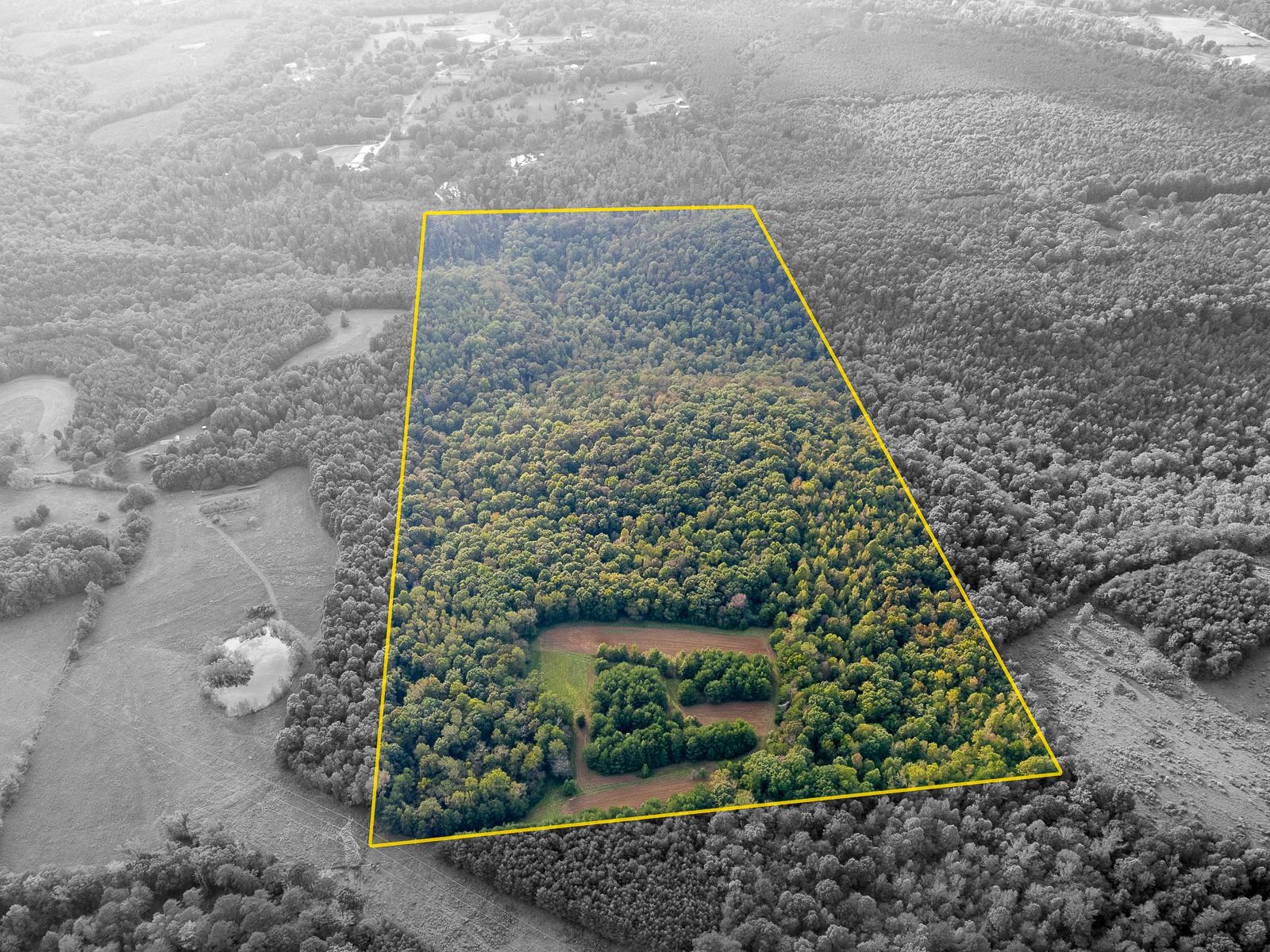 0 Underwood Mountain Rd, Tuscumbia, AL 35674 — photo 2