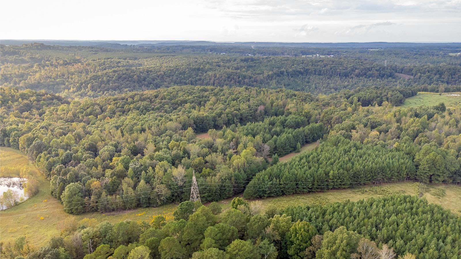 0 Underwood Mountain Rd, Tuscumbia, AL 35674 — photo 11