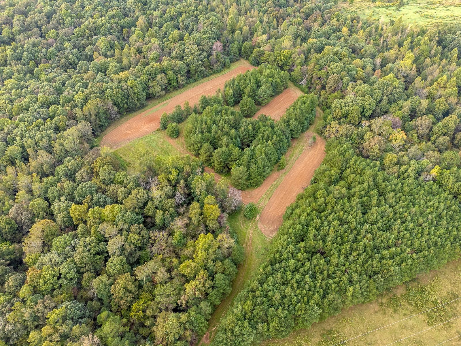 0 Underwood Mountain Rd, Tuscumbia, AL 35674 — photo 12