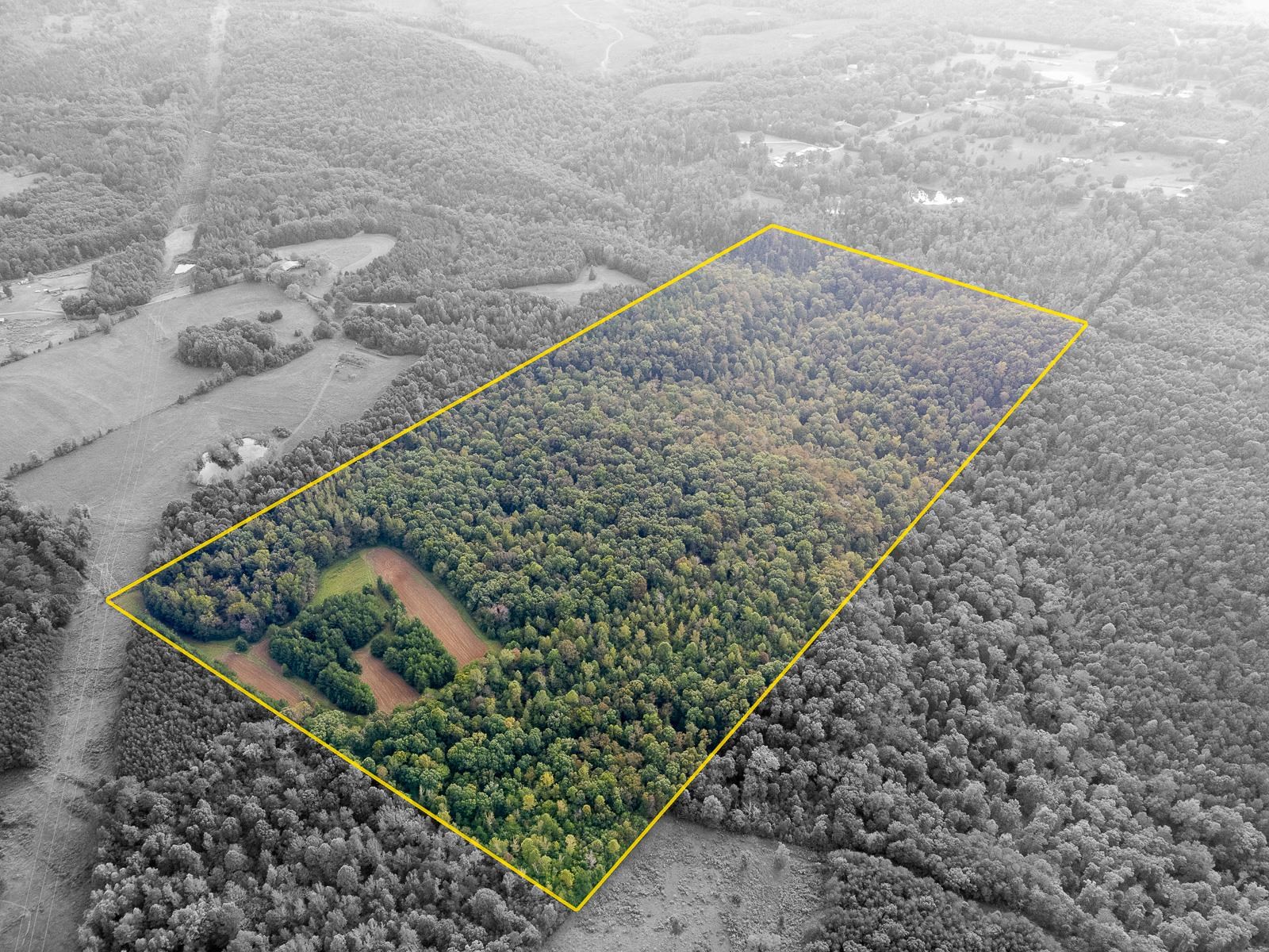 0 Underwood Mountain Rd, Tuscumbia, AL 35674 — photo 4