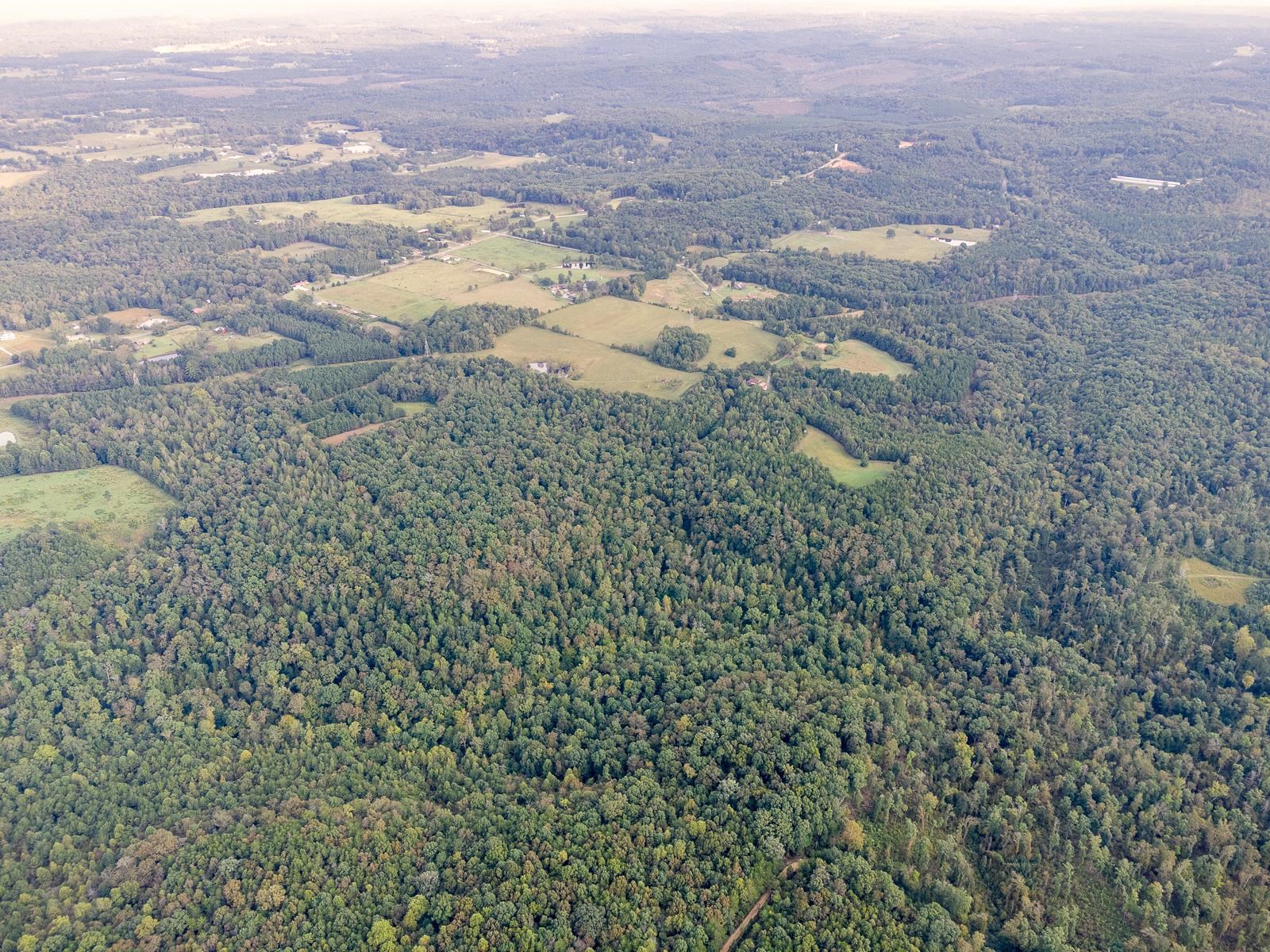 0 Underwood Mountain Rd, Tuscumbia, AL 35674 — photo 5