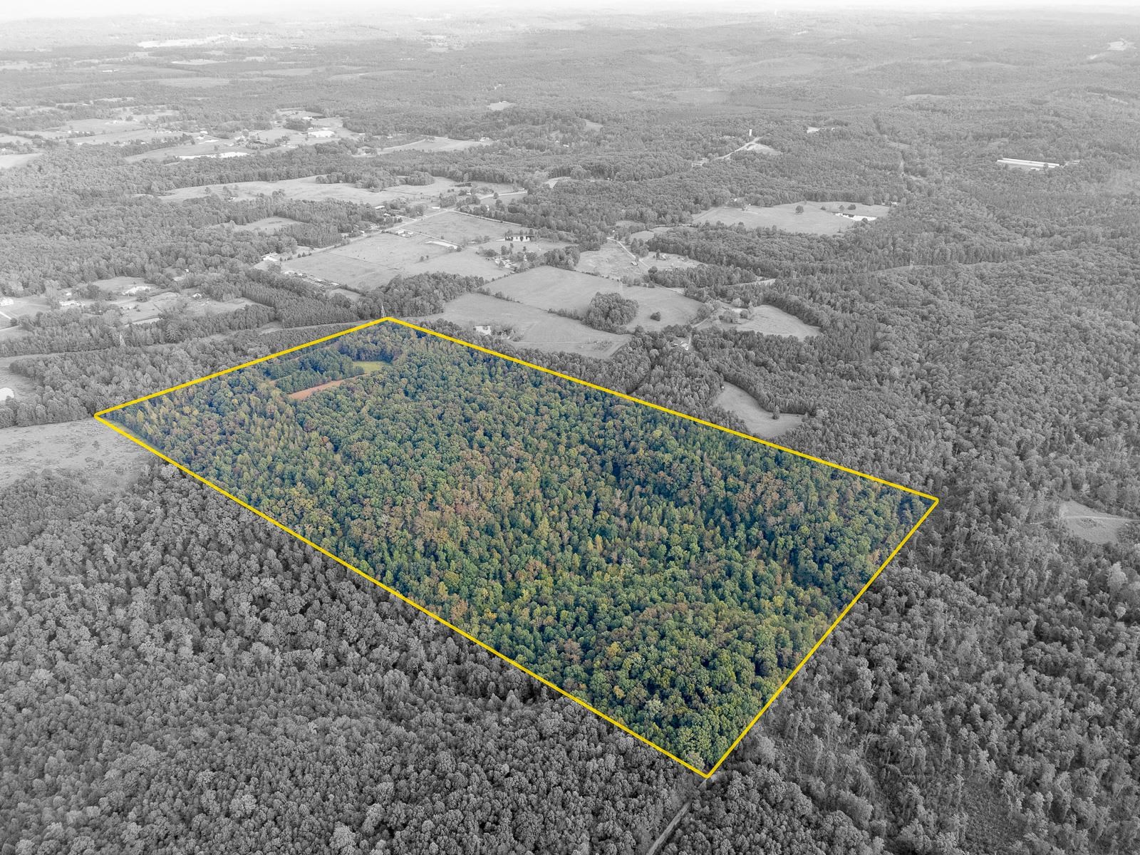 0 Underwood Mountain Rd, Tuscumbia, AL 35674 — photo 6