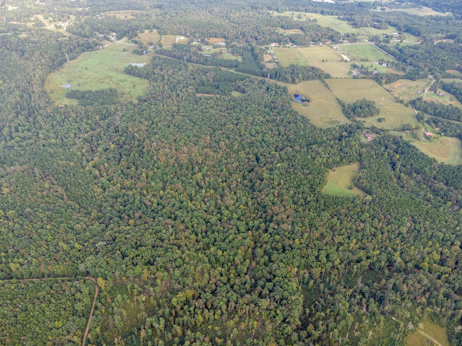 0 Underwood Mountain Rd, Tuscumbia, AL 35674 — photo 7