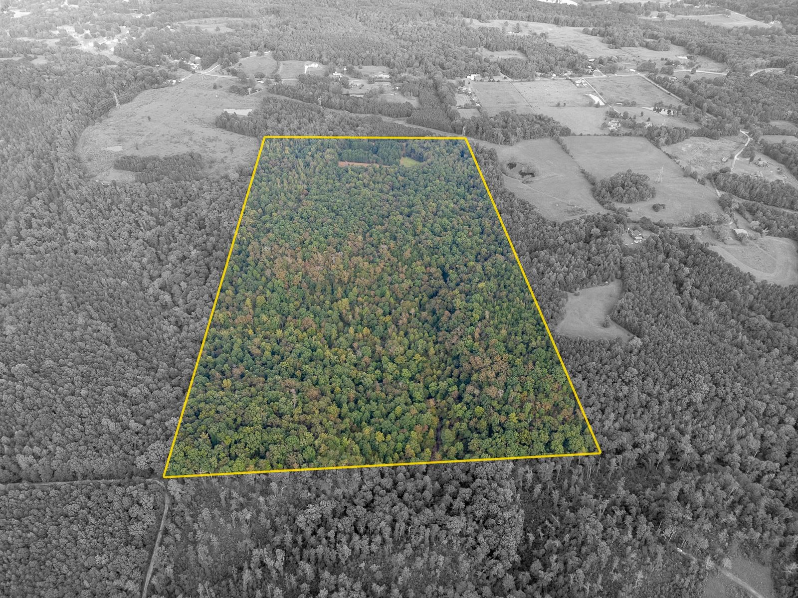 0 Underwood Mountain Rd, Tuscumbia, AL 35674 — photo 8