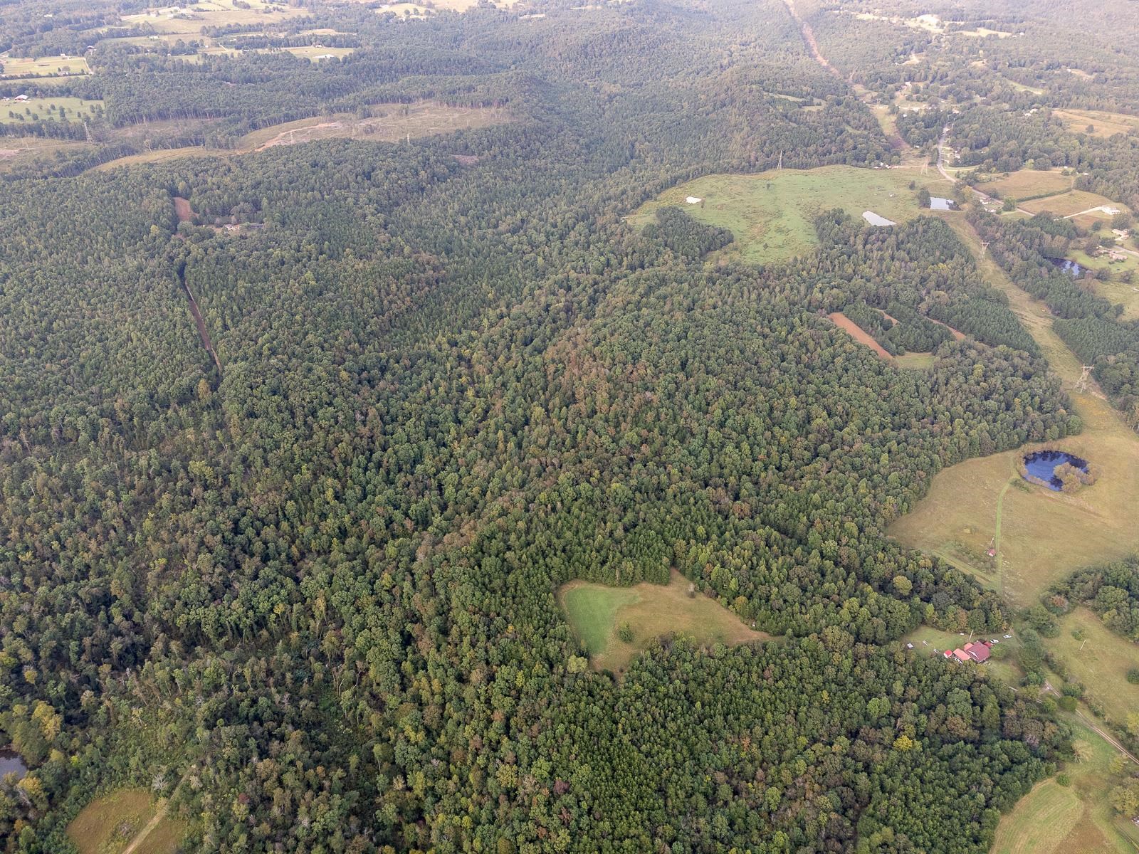 0 Underwood Mountain Rd, Tuscumbia, AL 35674 — photo 9