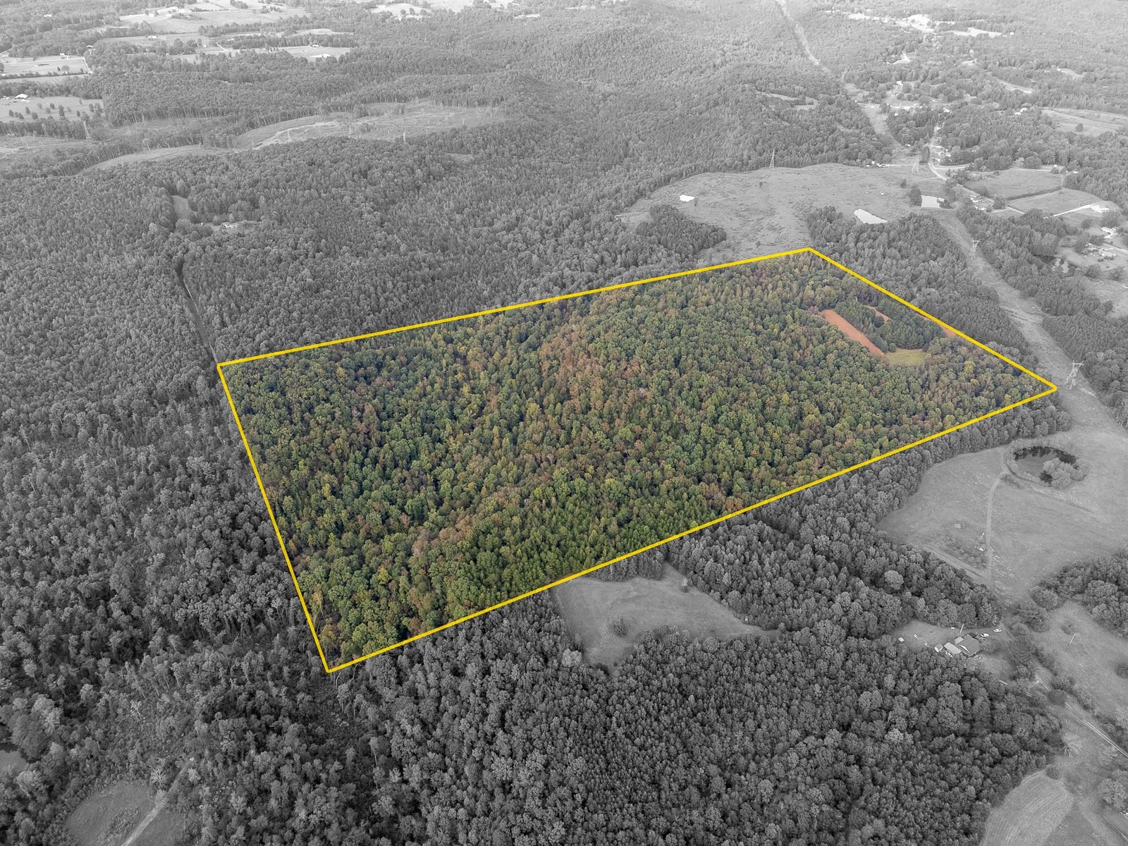 0 Underwood Mountain Rd, Tuscumbia, AL 35674 — photo 10