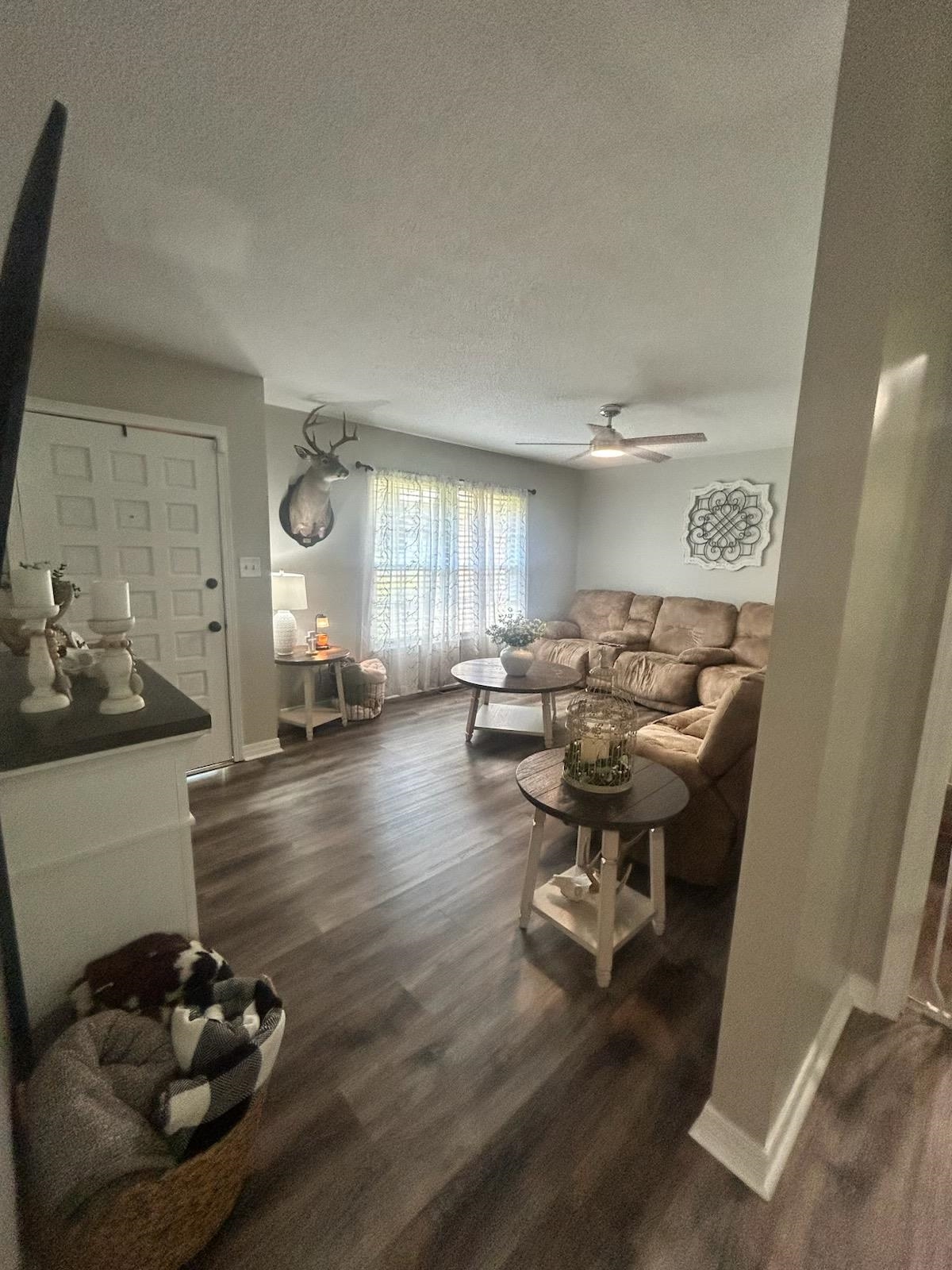 237 Meadowhill Rd, Sheffield, AL 35660 — photo 8