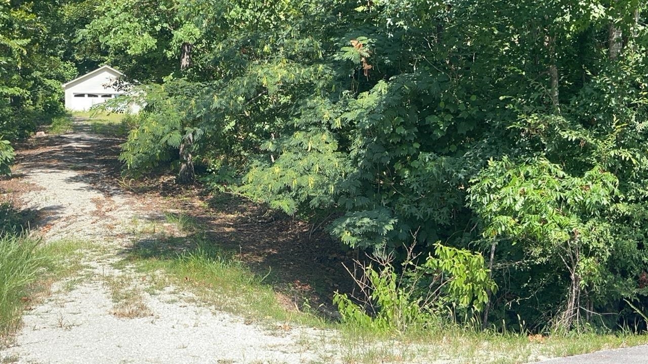 646 Lake Front Dr, Russellville, AL 35653 — photo 1