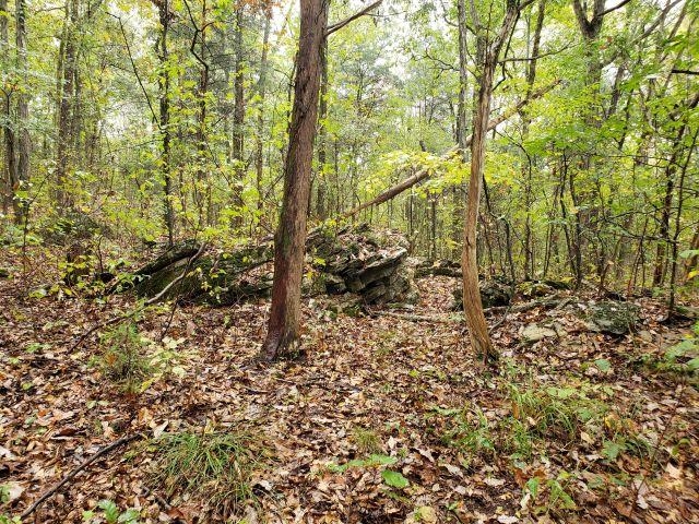 13808 Alabama Hwy 101, Town Creek, AL 35672 — photo 1