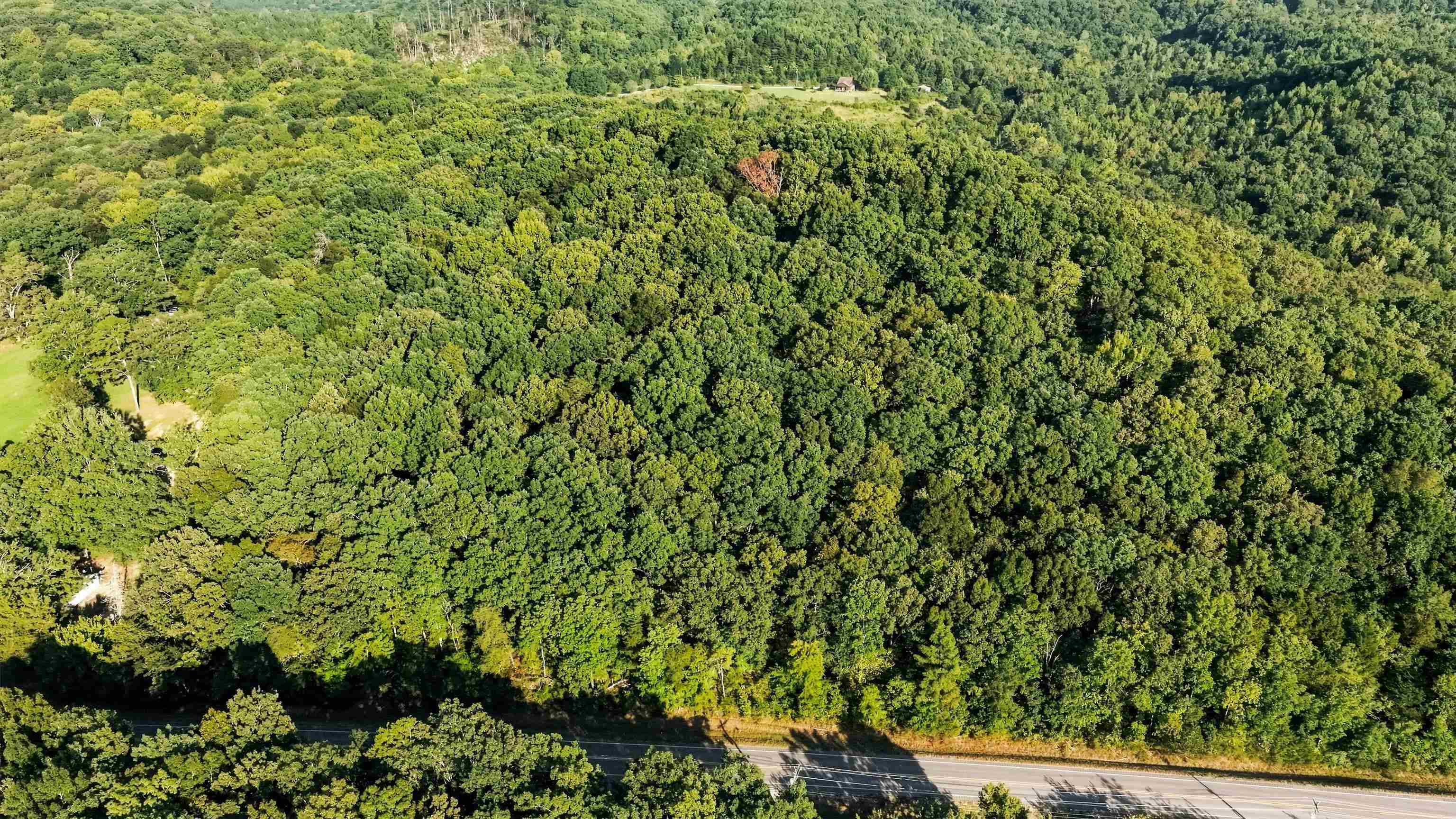 13808 Alabama Hwy 101, Town Creek, AL 35672 — photo 3
