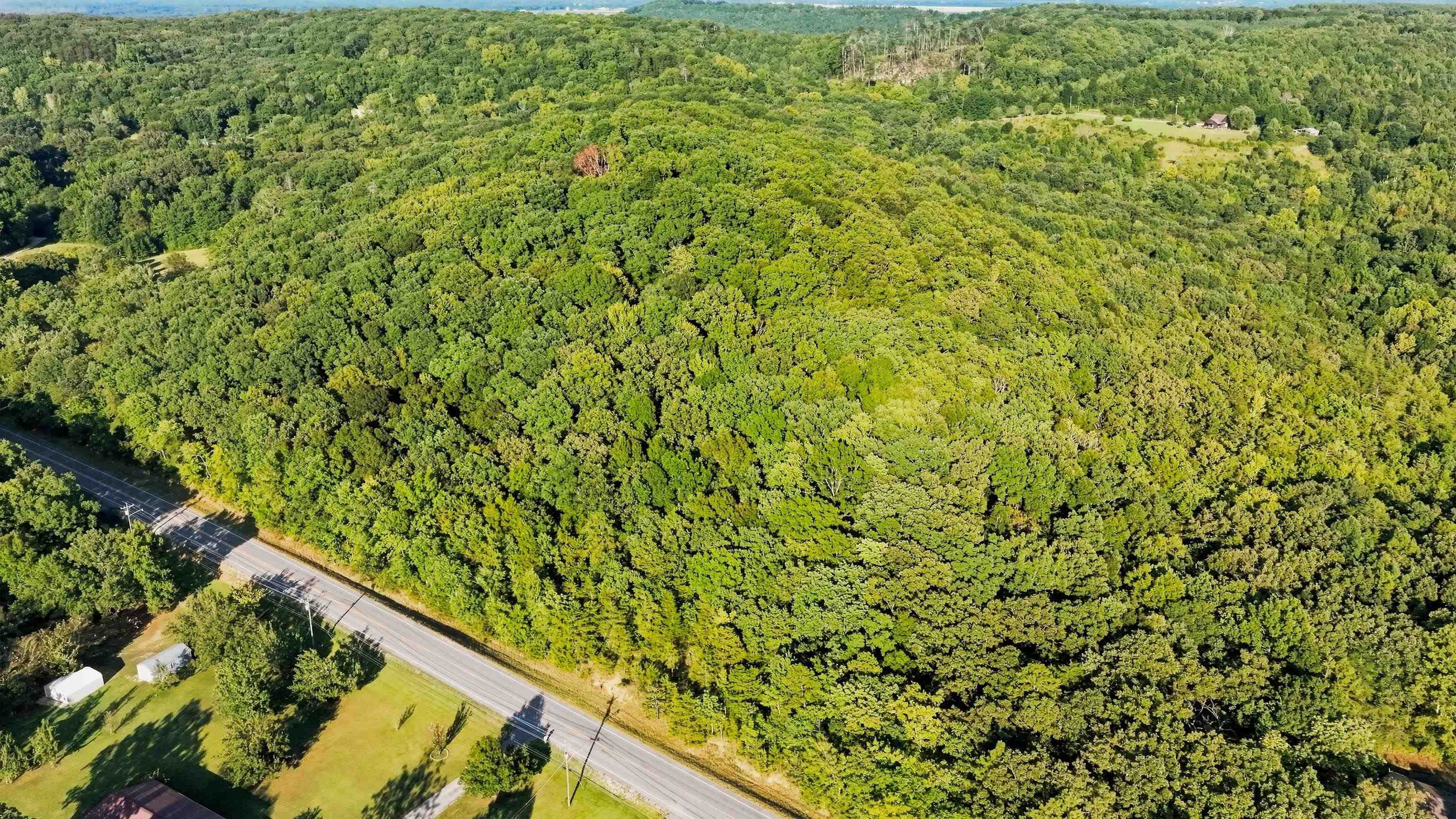 13808 Alabama Hwy 101, Town Creek, AL 35672 — photo 4