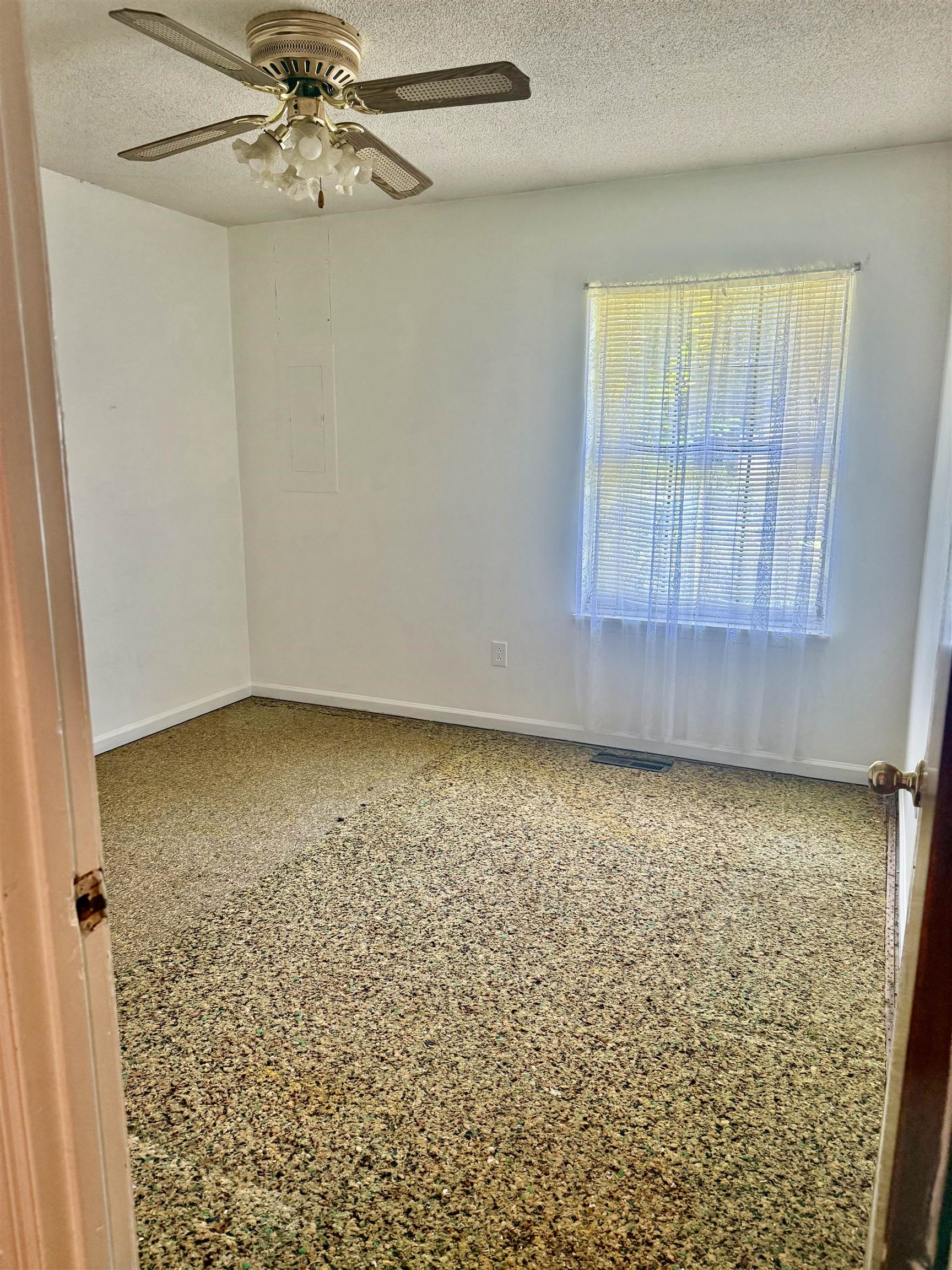 1128 8th St, Tuscumbia, AL 35674 — photo 6