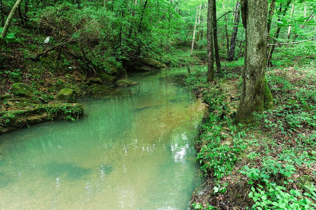 0 Wagnon Mountain Rd, Tuscumbia, AL 35674 — photo 5