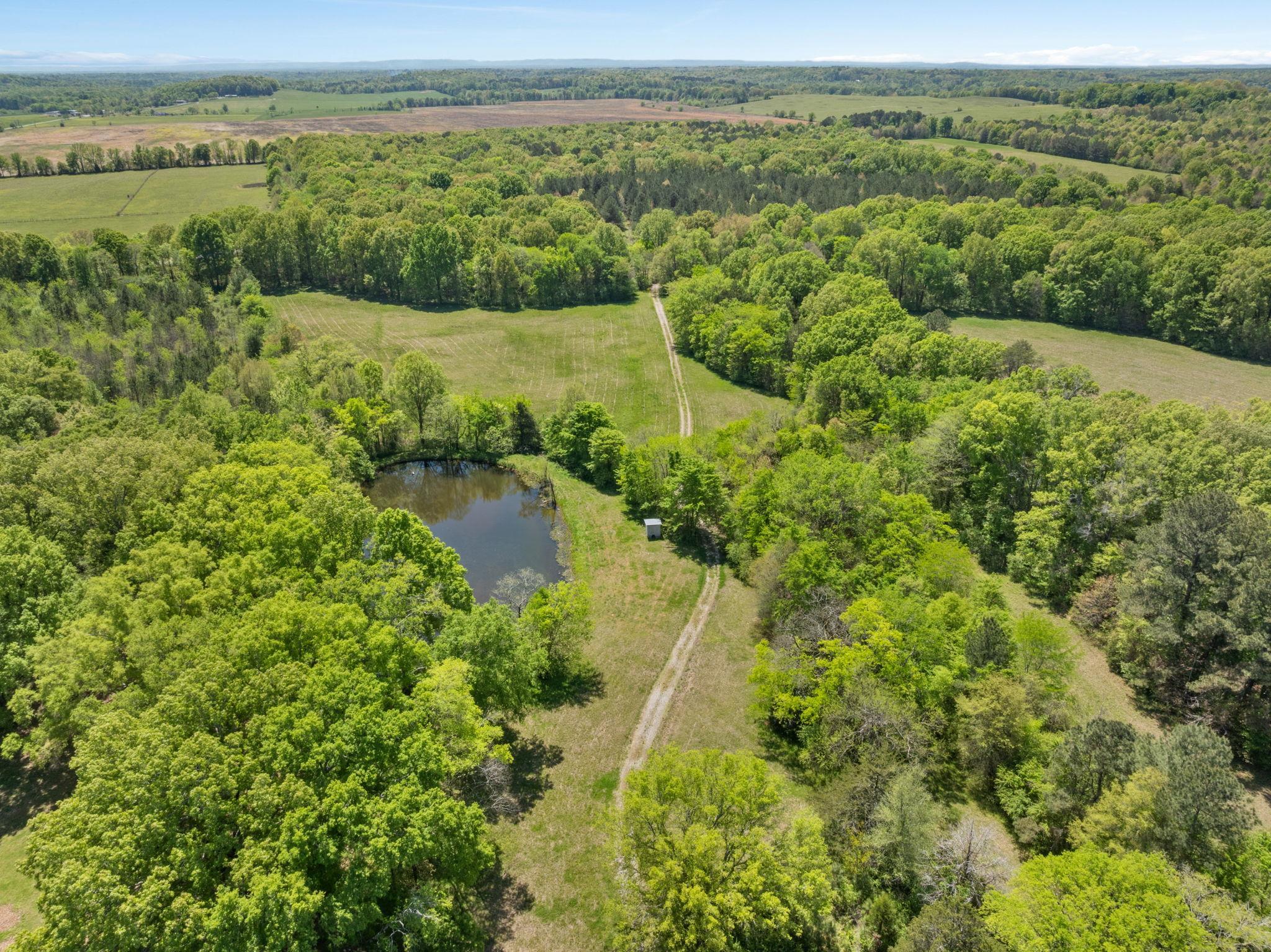 0 Hwy 157, Leighton, AL 35646 — photo 1