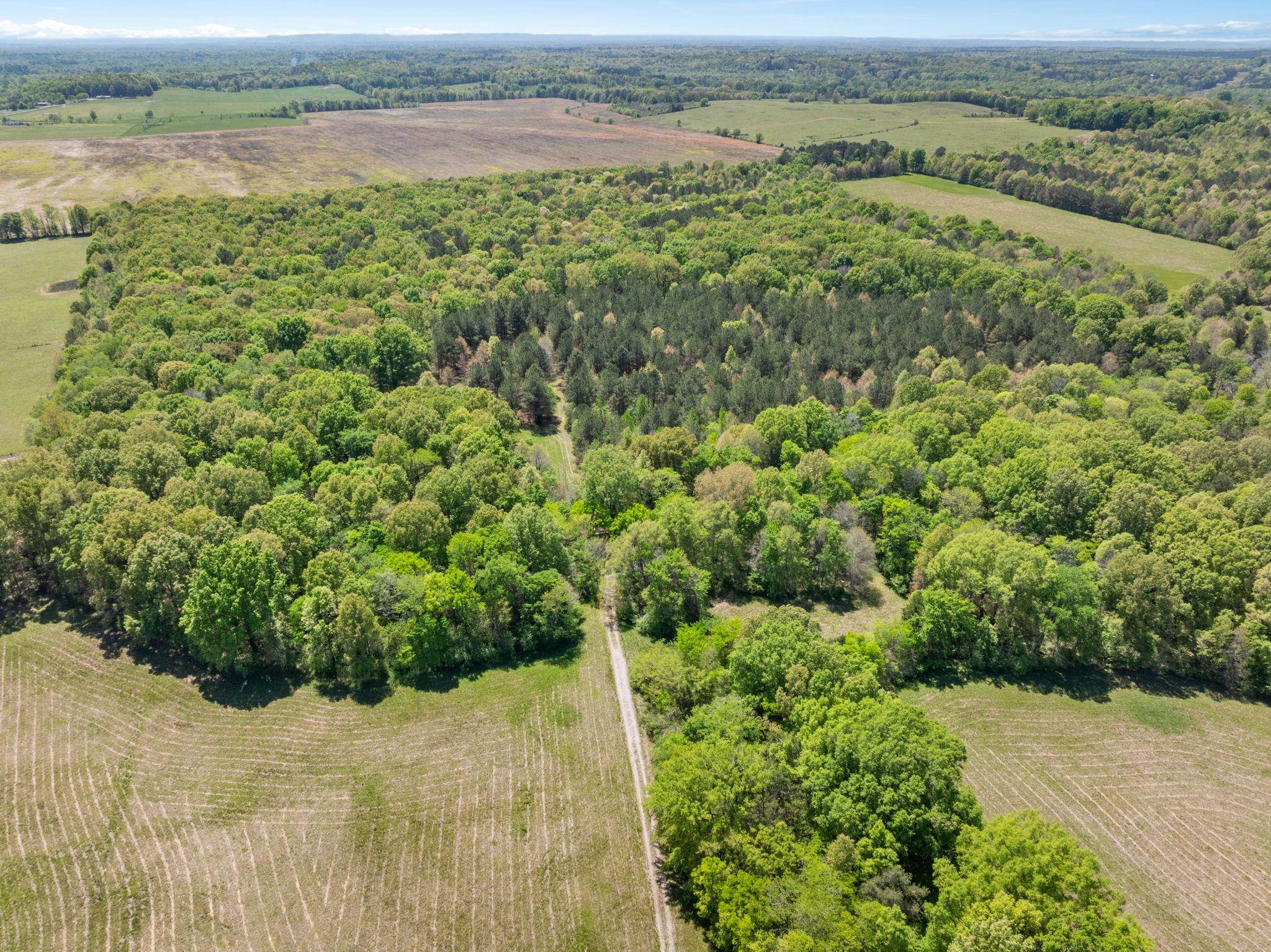 0 Hwy 157, Leighton, AL 35646 — photo 2