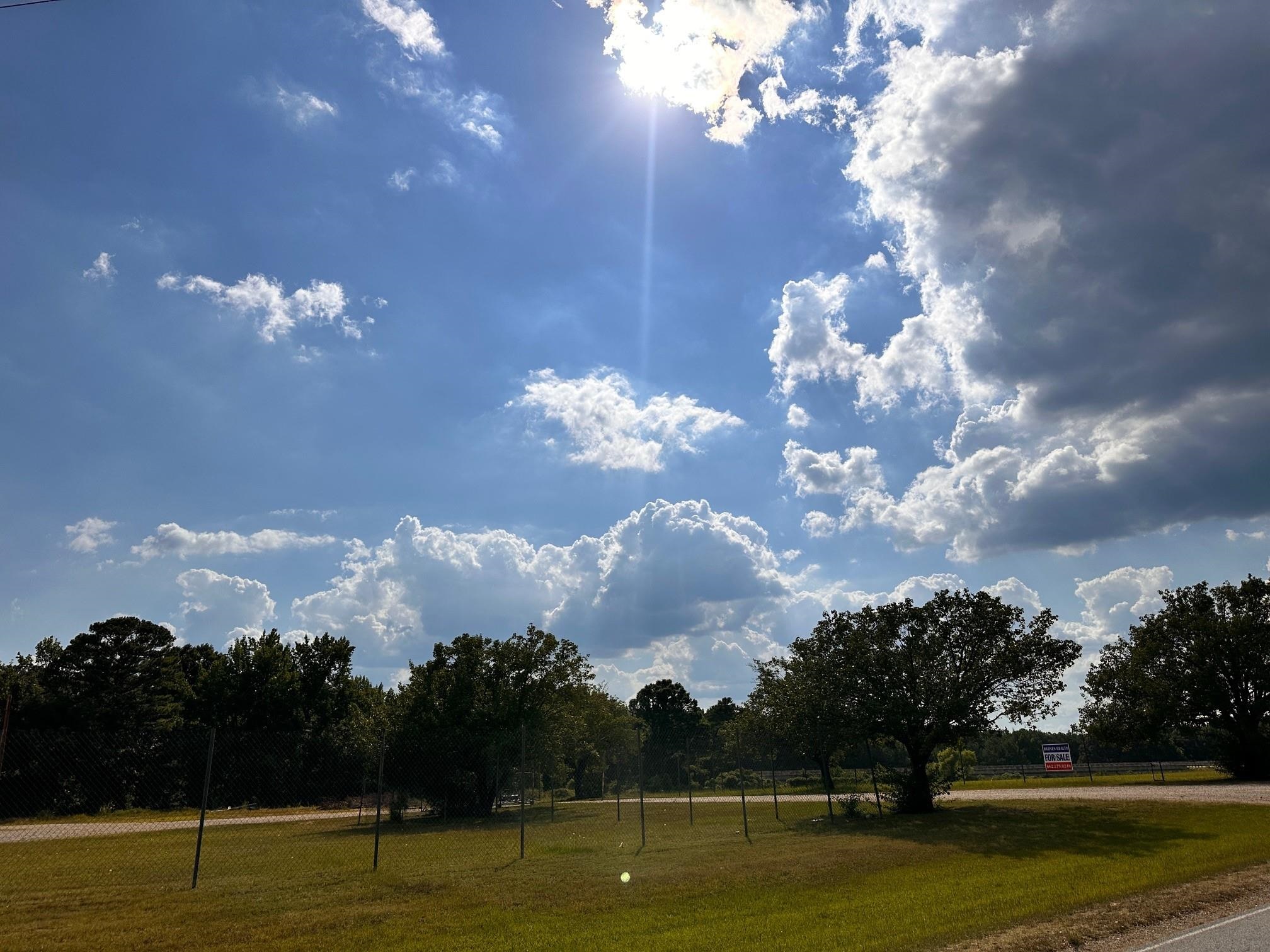2049 Paul Edmondson Dr, Iuka, MS 38852 — photo 2