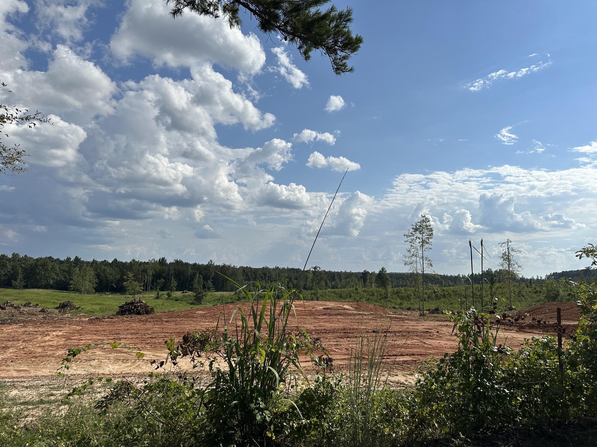 0 - Lot 6 Co Rd 222, Iuka, MS 38852 — photo 1