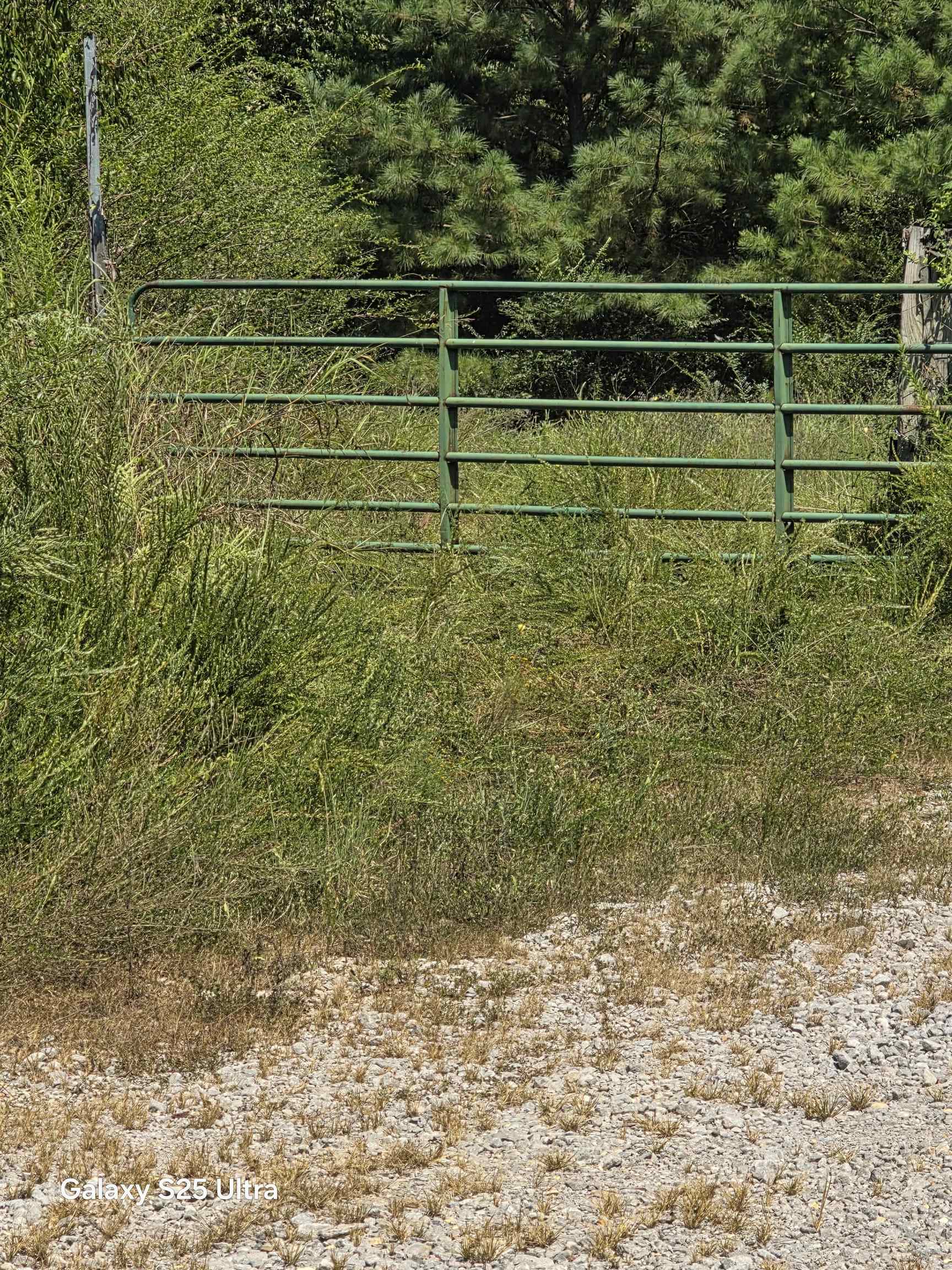 0 Co Rd 10, Phil Campbell, AL 35581 — photo 12