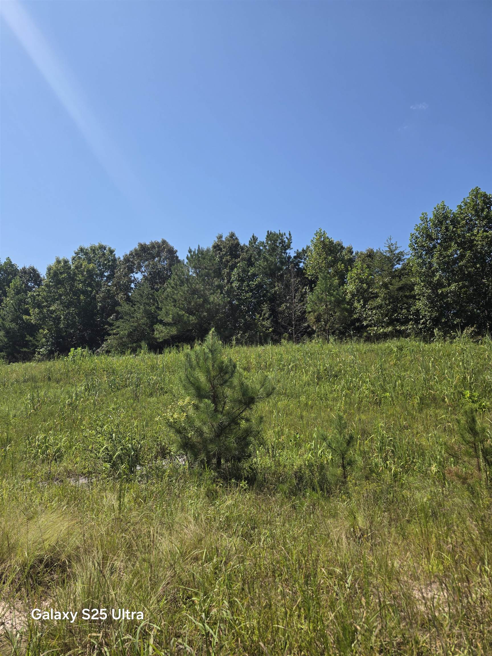 0 Co Rd 10, Phil Campbell, AL 35581 — photo 4