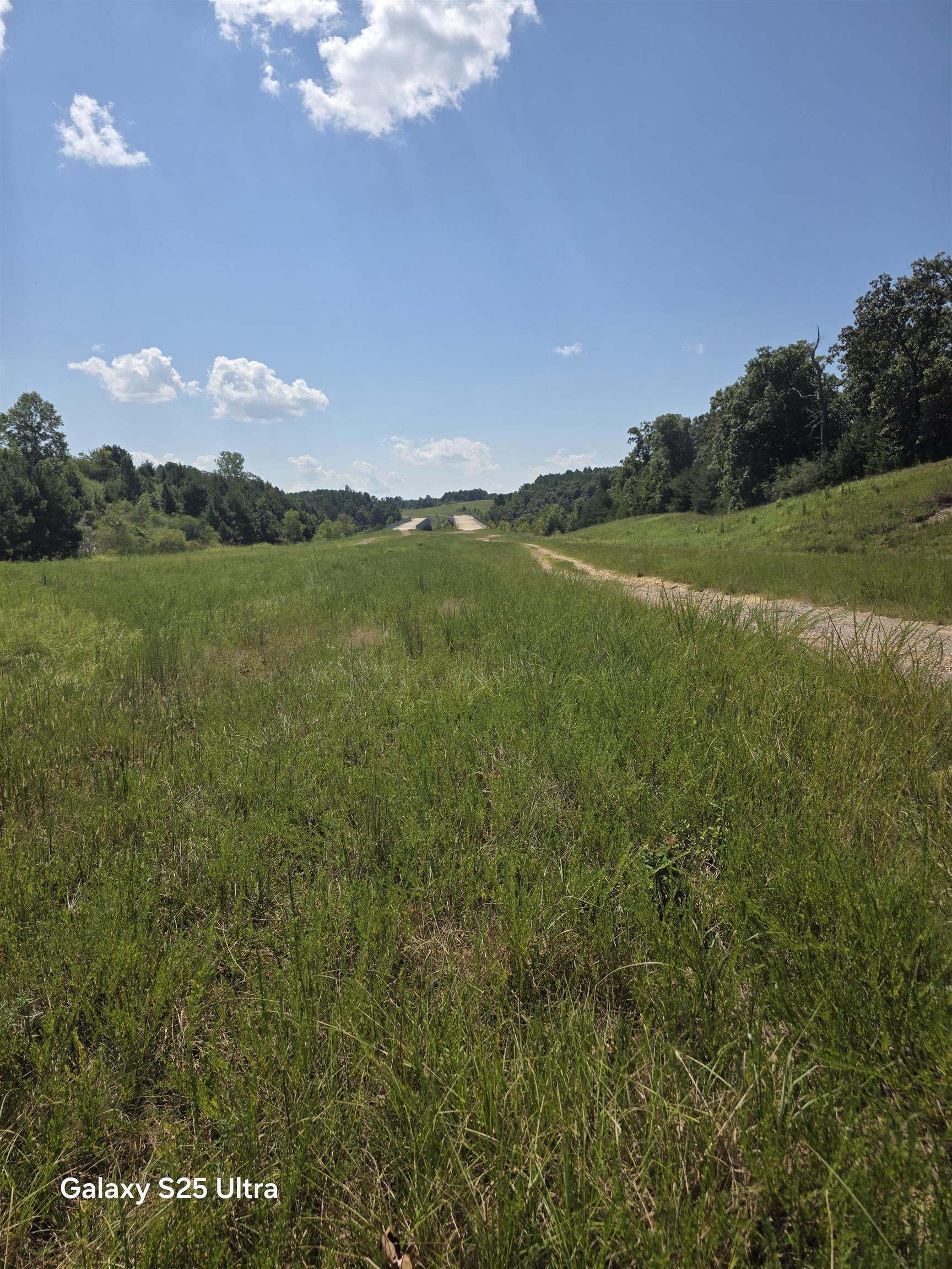 0 Co Rd 10, Phil Campbell, AL 35581 — photo 5