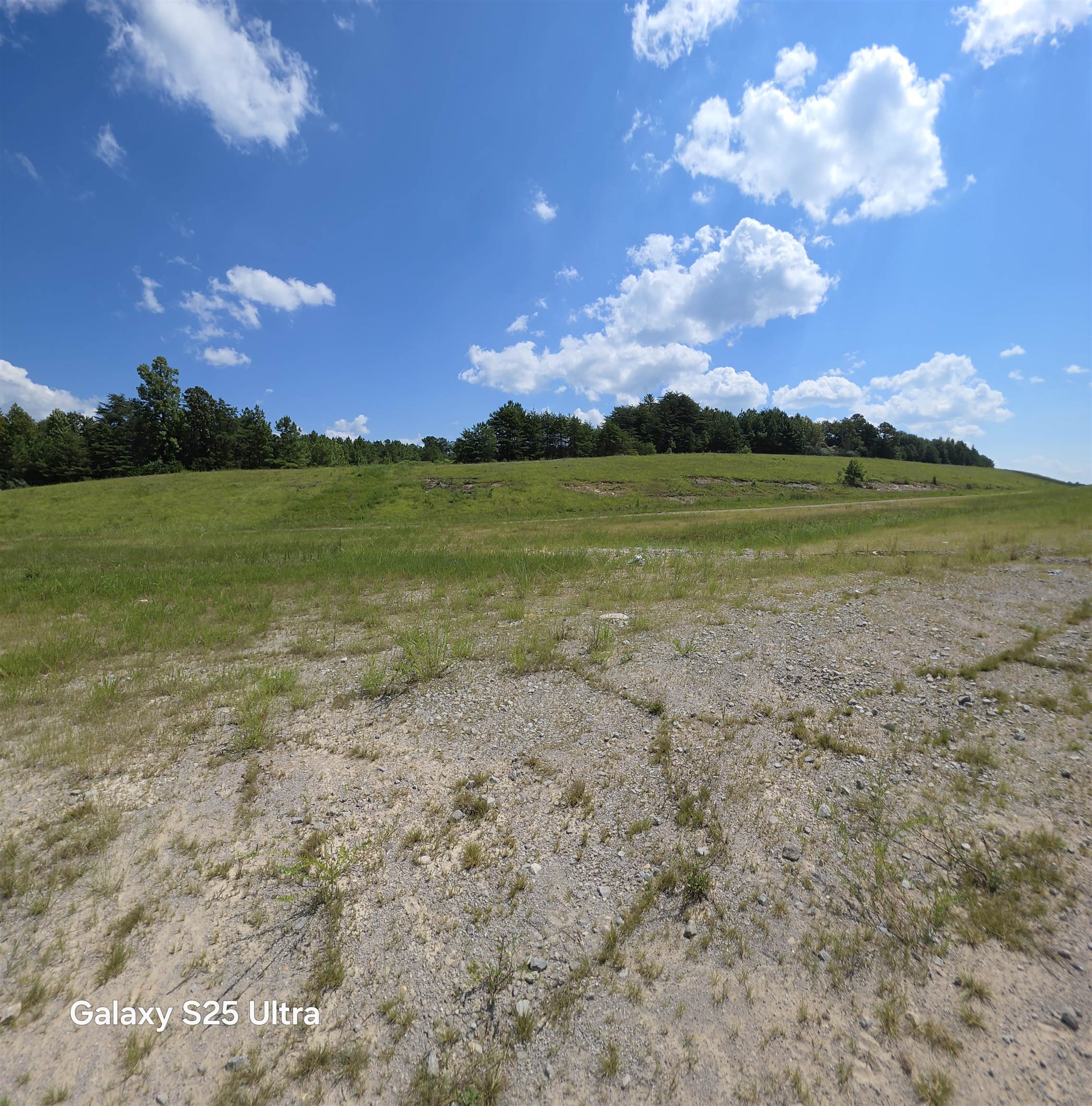 0 Co Rd 10, Phil Campbell, AL 35581 — photo 7