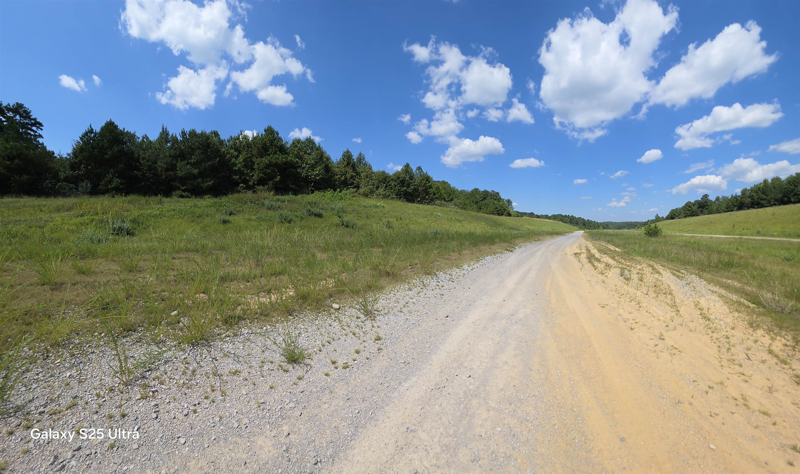 0 Co Rd 10, Phil Campbell, AL 35581 — photo 9