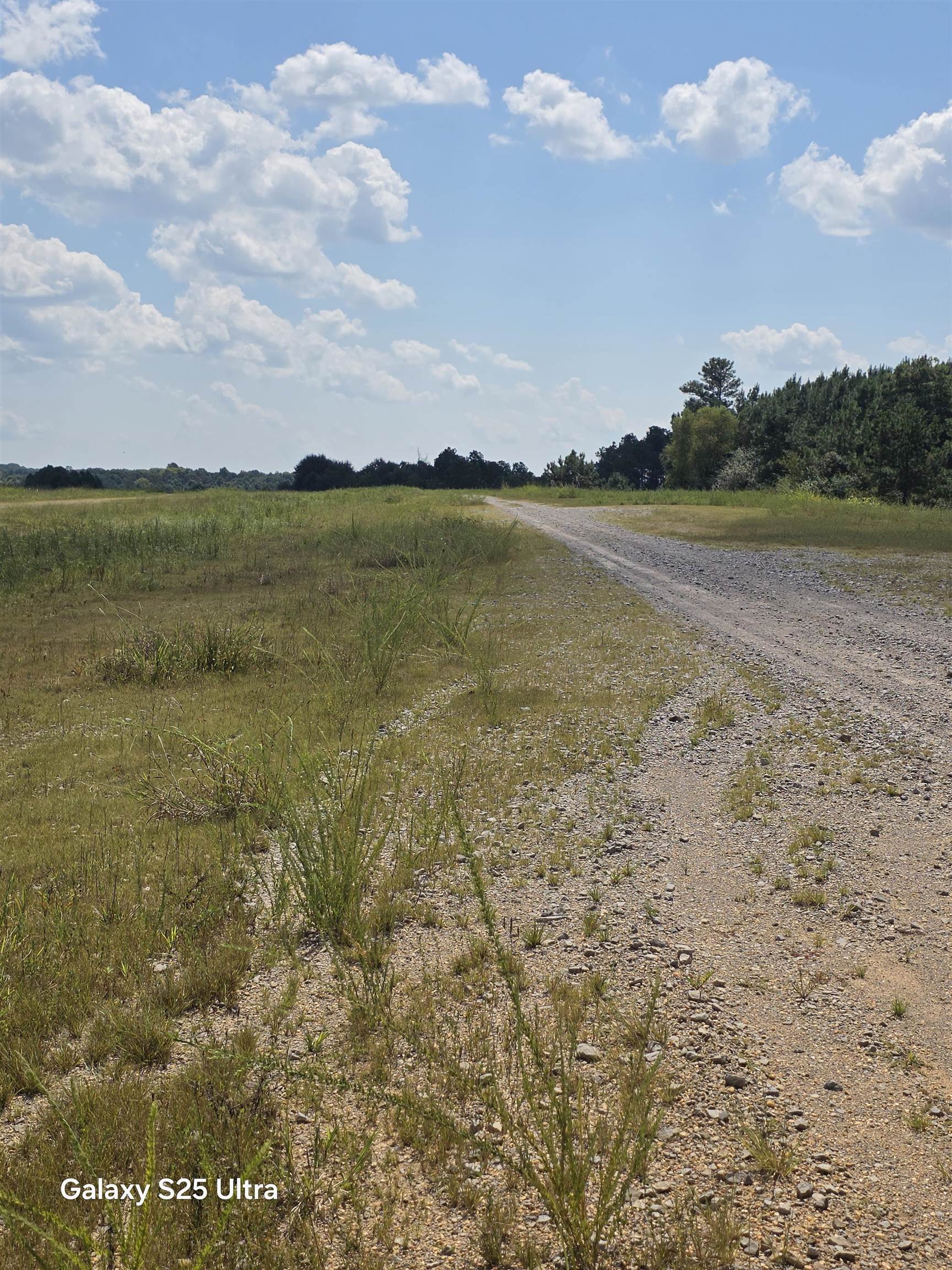 0 Co Rd 10, Phil Campbell, AL 35581 — photo 10