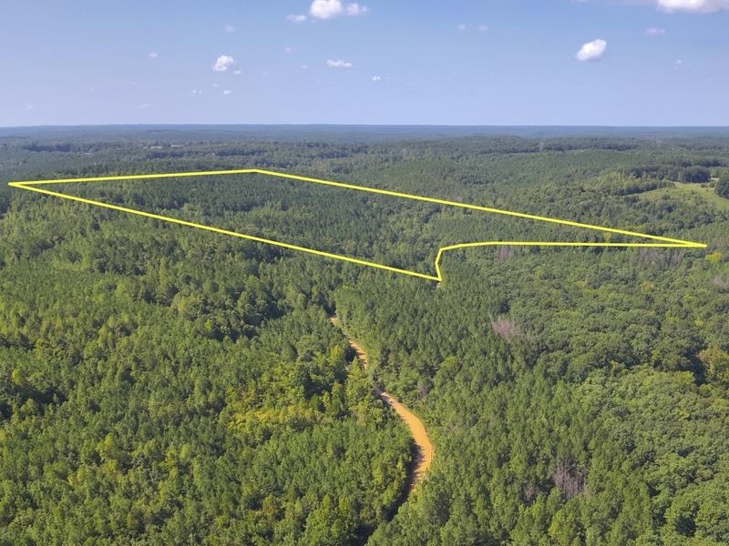 Lot 1 Cedar Ridge Rd, Russellville, AL 35653 — photo 1