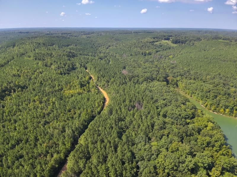 Lot 1 Cedar Ridge Rd, Russellville, AL 35653 — photo 12