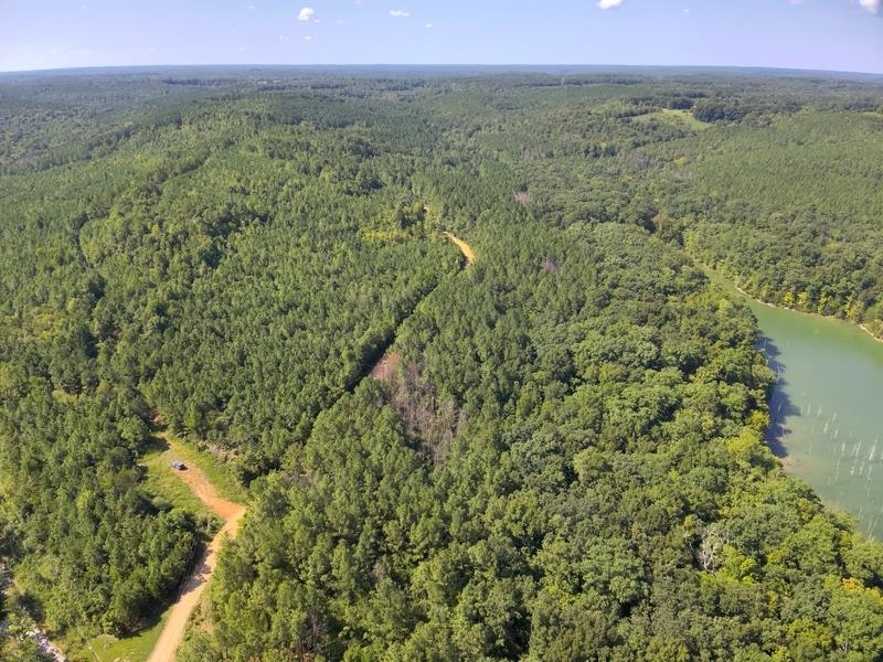 Lot 1 Cedar Ridge Rd, Russellville, AL 35653 — photo 10