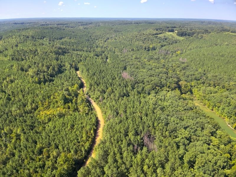 Lot 2 Cedar Ridge Rd, Russellville, AL 35653 — photo 12