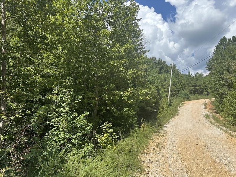 Lot 2 Cedar Ridge Rd, Russellville, AL 35653 — photo 4