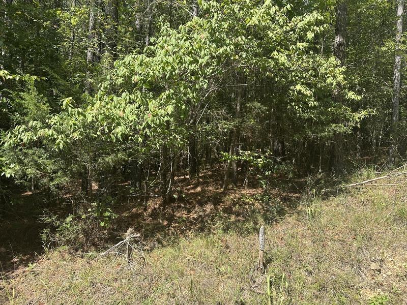 Lot 3 Cedar Ridge Rd, Russellville, AL 35653 — photo 6