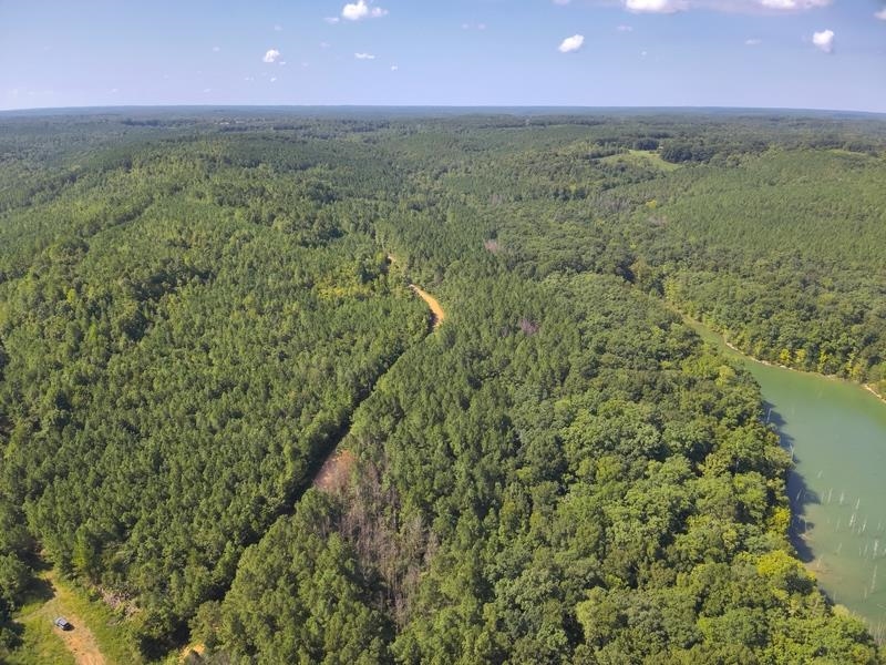 Lot 5 Cedar Ridge Rd, Russellville, AL 35653 — photo 12