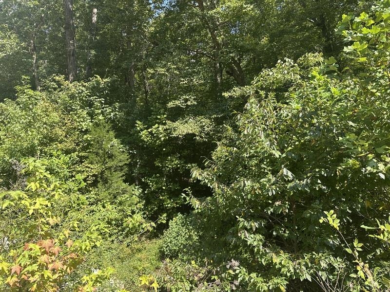 Lot 5 Cedar Ridge Rd, Russellville, AL 35653 — photo 5
