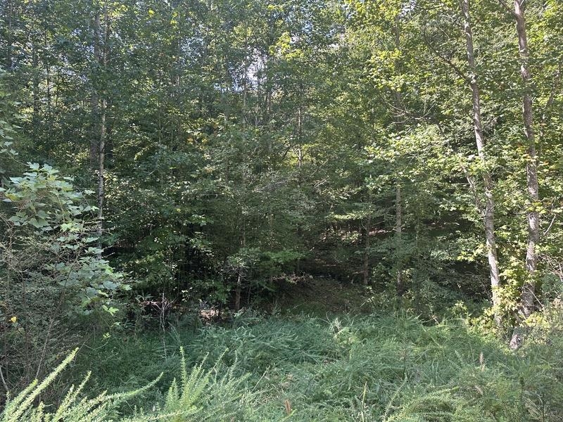Lot 6 Cedar Ridge Rd, Russellville, AL 35653 — photo 2