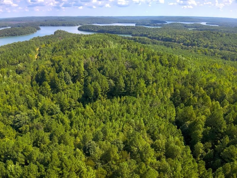 Lot 6 Cedar Ridge Rd, Russellville, AL 35653 — photo 12
