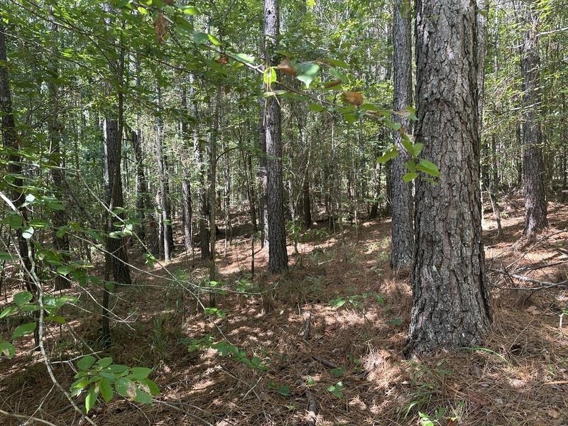 Lot 6 Cedar Ridge Rd, Russellville, AL 35653 — photo 7