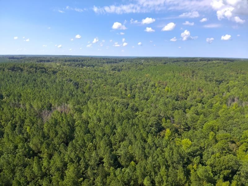 Lot 7 Cedar Ridge Rd, Russellville, AL 35653 — photo 11