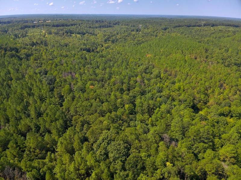 Lot 7 Cedar Ridge Rd, Russellville, AL 35653 — photo 12