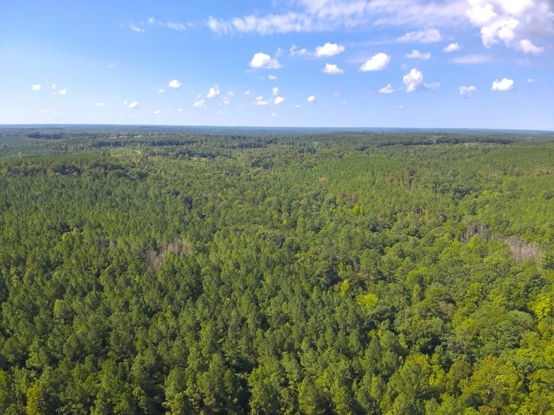 Lot 7 Cedar Ridge Rd, Russellville, AL 35653 — photo 10