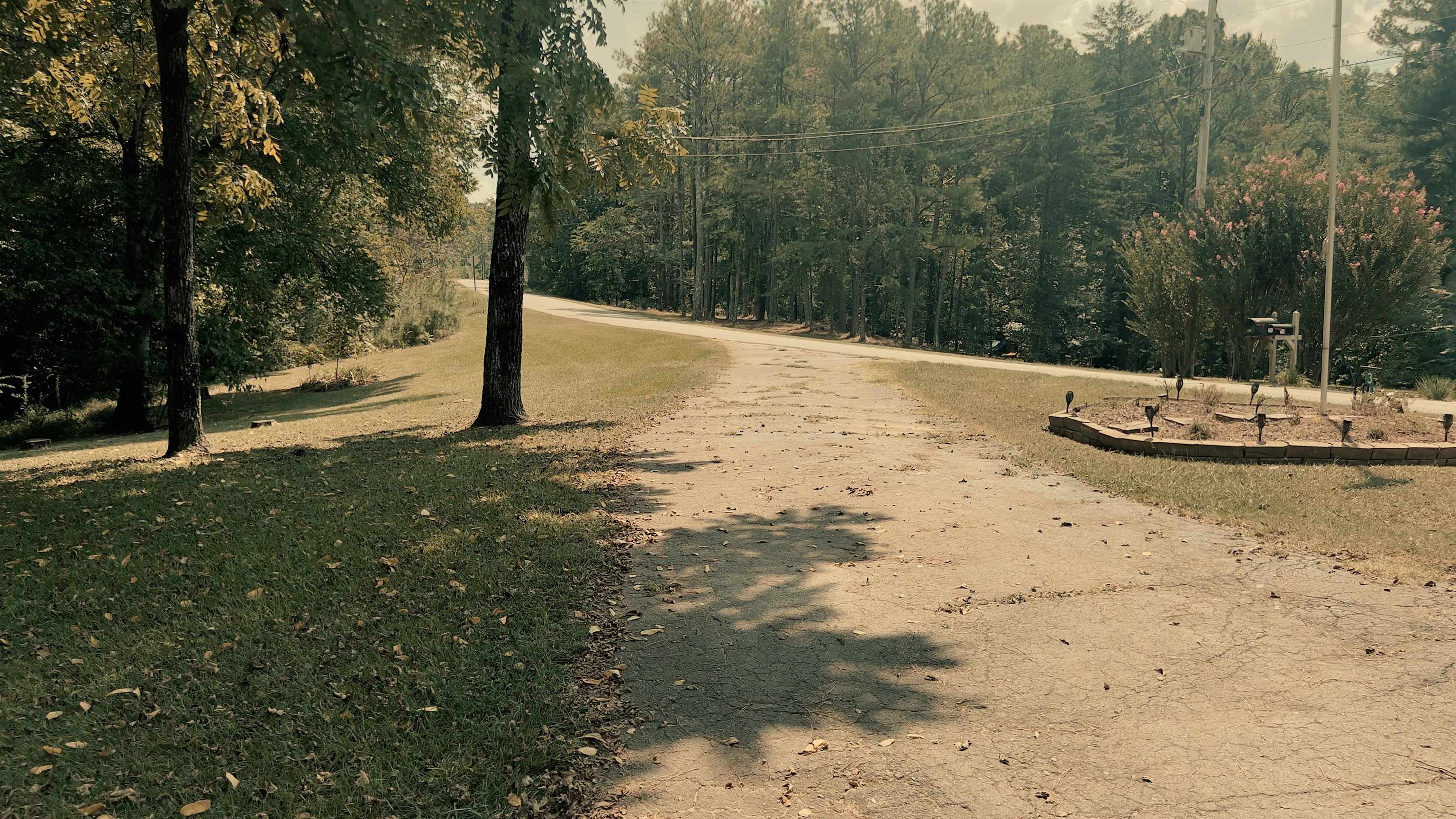 314 Whitten Rd, Russellville, AL 35653 — photo 4