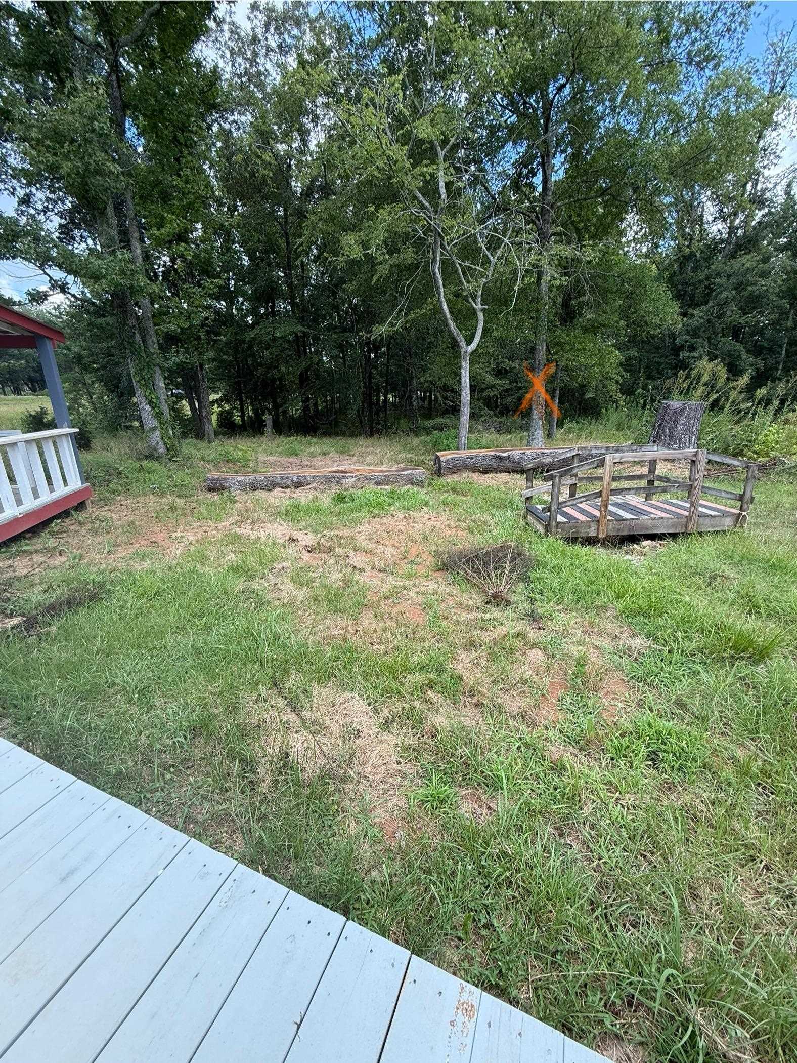 1050 Duncan Ln, Leighton, AL 35646 — photo 7